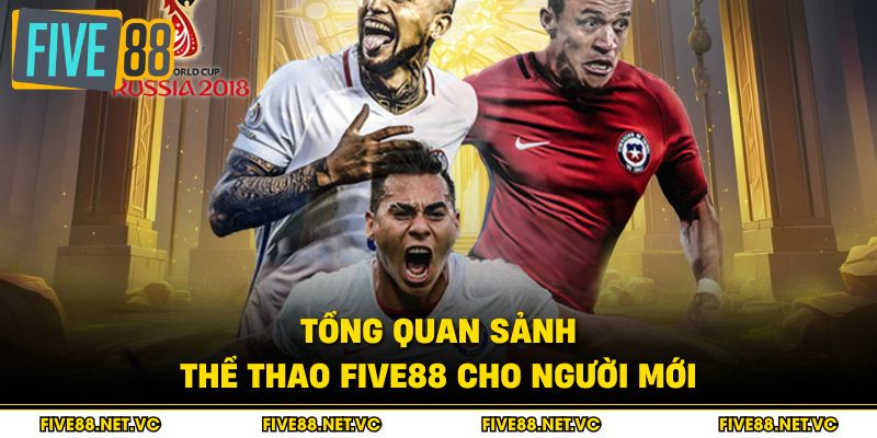 Tổng quan sảnh thể thao Five88 cho người mới
